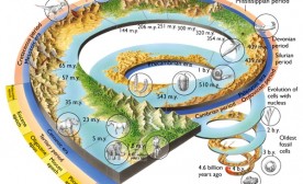 Geological Time Scale