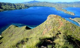 Komodo National Island Dragon Park